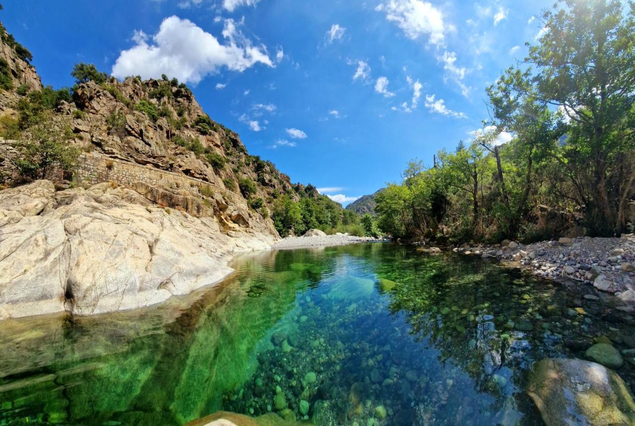 Pianotolinca - Centru Di Corsica Villa Moltifao Exteriör bild